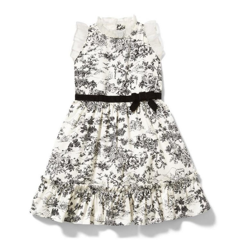 Janie & Jack Toile Dress